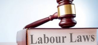 Introduction to Labour Law 